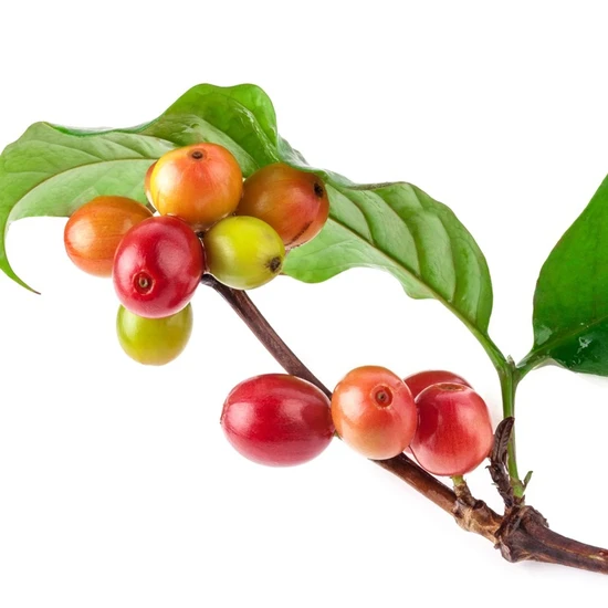 L'Anza Keratin Healing Oil Brush Thru Spray 350ml