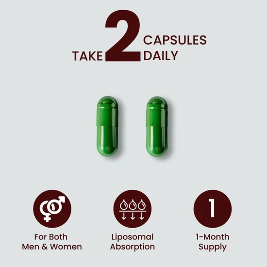 ZeroHarm Liposomal Live Bacteria Prebiotic Complex Capsules 60 Capsules