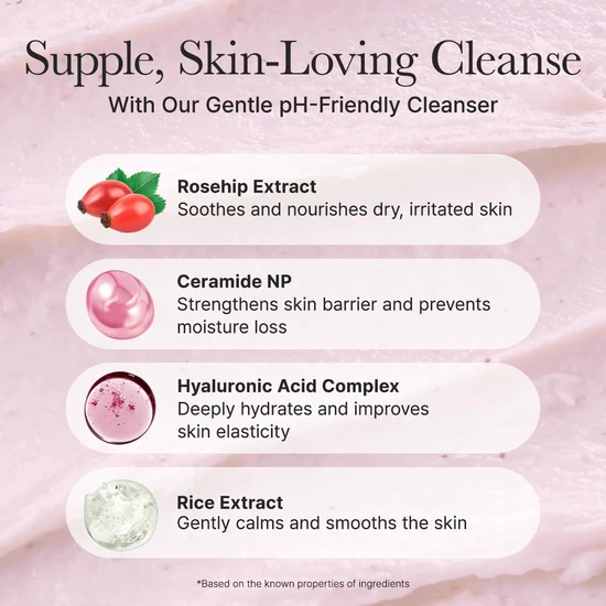 Arencia Rosehip Milk pH Balancing Rice Cake Cleanser 150g