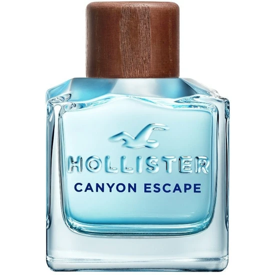 Hollister Canyon Escape For Him Eau De Toilette 100ml