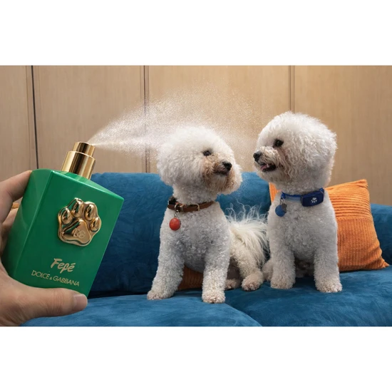 Dolce & Gabbana Fefe Dog Fragrance Mist 100ml