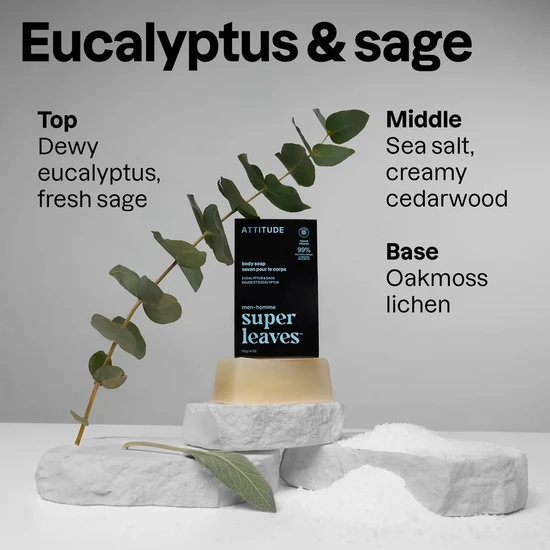 Attitude Super Leaves Men Body Soap Eucalyptus & Sage 113g