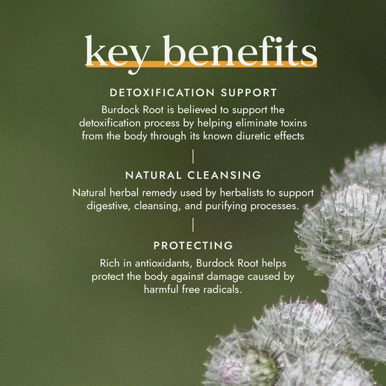 Fushi Organic Burdock Root x 60 Capsules