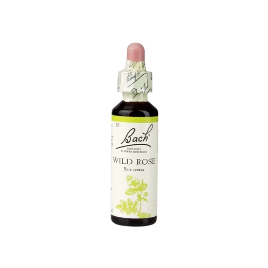 Bach Original Flower Remedies Wild Rose 20ml