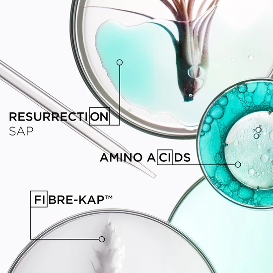 Kérastase Resistance Bain Therapiste Shampoo