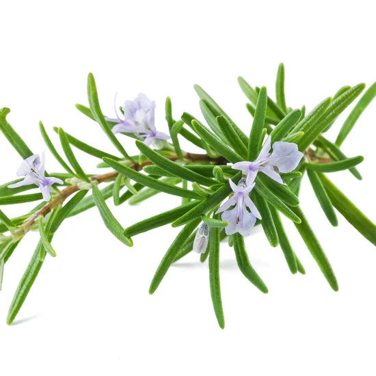 L'Anza Healing Style Foundation Mousse 150ml