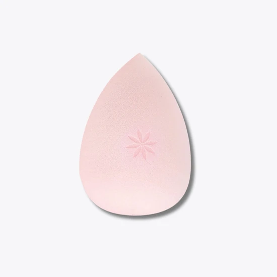 Brushworks Complexion Sponge