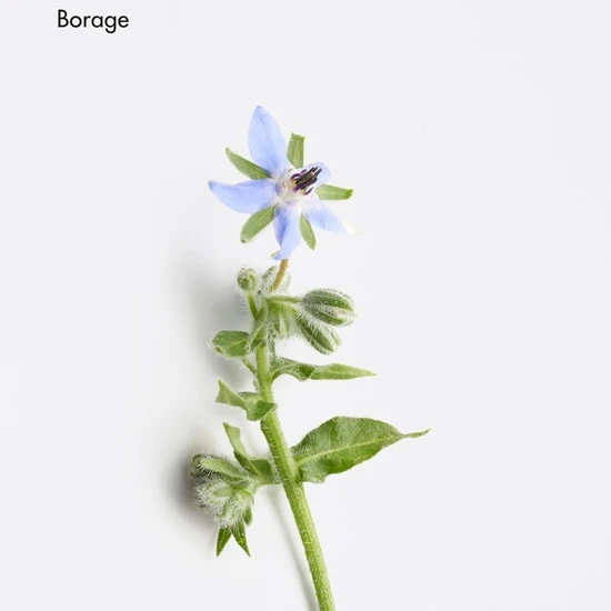 La Biosthetique Energising Aroma Complex