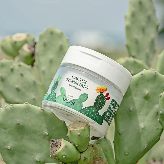Yadah Cactus Toner Pads
