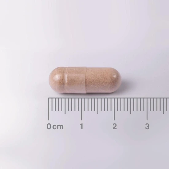 Lamberts L-Theanine & Lemon Balm Complex 60 Capsules