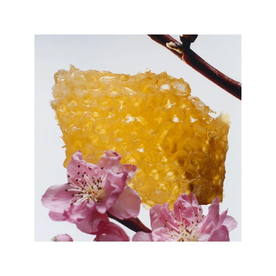 Jo Malone London Nectarine Blossom & Honey Cologne 30ml