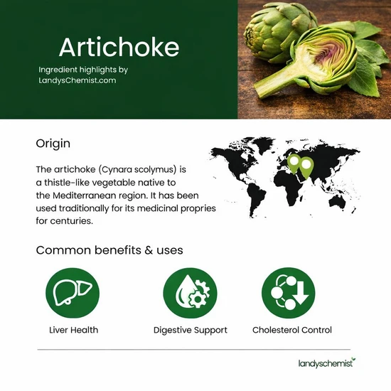 Swanson Prebiotic Jerusalem Artichoke 400mg Capsules 60 Capsules