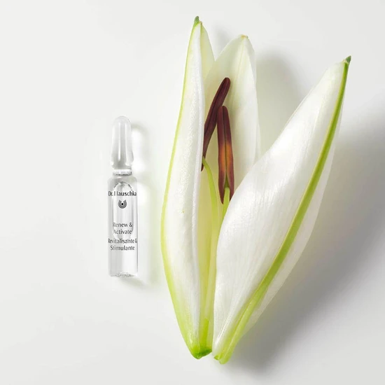 Dr Hauschka Renew & Activate Ampoules 28 x 2ml