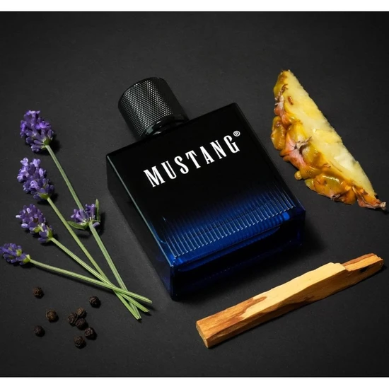 Mustang Blue Signature Eau De Toilette 50ml