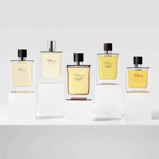 Hermès Terre d'Hermes Eau De Parfum Intense 50ml