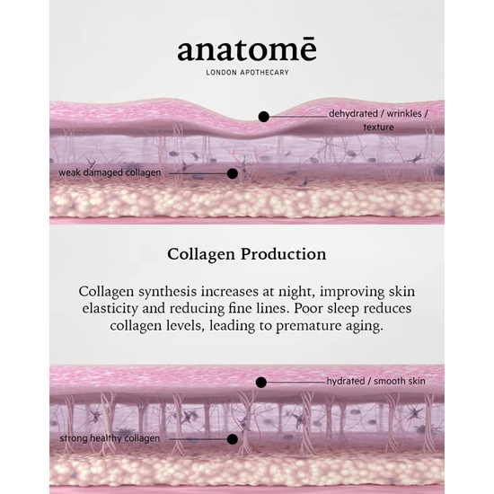 Anatomē Illuminating Rose-hip, Grape Seed & Avocado Face Oil 30ml