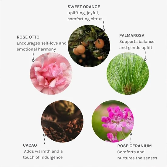 Evolve Beauty Wild Divine Pulse Point Roller 10ml