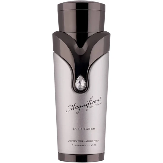 Armaf Magnificent Pour Homme Eau De Parfum 100ml