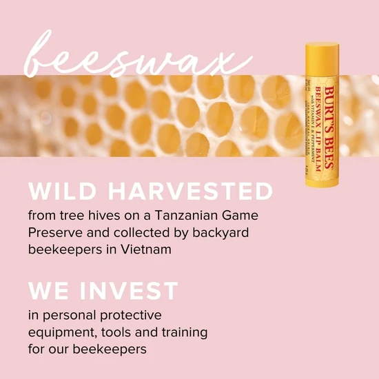 Burt's Bees Beeswax Lip Balm 4.25g x2