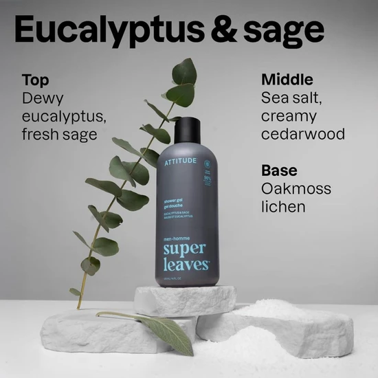 Attitude Super Leaves Men Shower Gel Eucalyptus & Sage 415ml