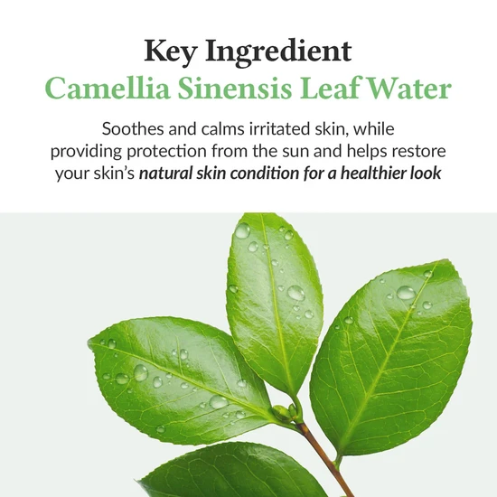 Dr. Althea Green Tea Fresh Sunscreen SPF 50+ 45ml