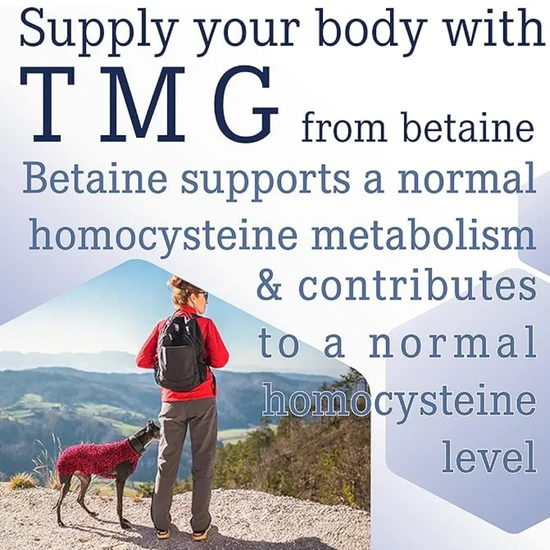 Life Extension TMG 500mg Vegicaps 60 Vegicaps