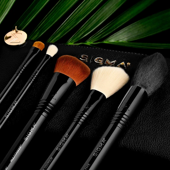 Sigma Beauty Multitask Brush Set
