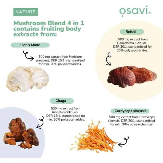Osavi Mushroom Blend 4 In 1 180g