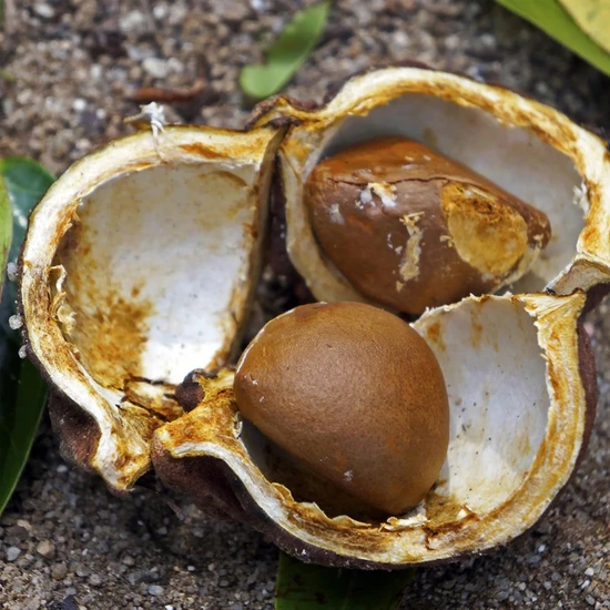 L'Anza Healing Volume Final Effects 350ml