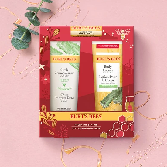 Burt's Bees A Bit Of Burt's Vanilla Bean Cracker Set Vanilla Bean Lip Balm + Hand Salve