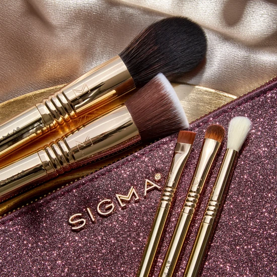 Sigma Beauty Obsessed Brush Set 5 piece travel-size brush collection