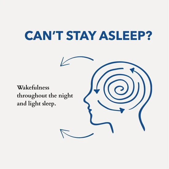 Anatomē Restless Mind Sleep Oil Roman Chamomile 30ml