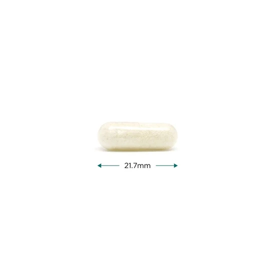 Cytoplan Cyto-Zyme Digestive Enzyme 545mg Capsules 60 Capsules