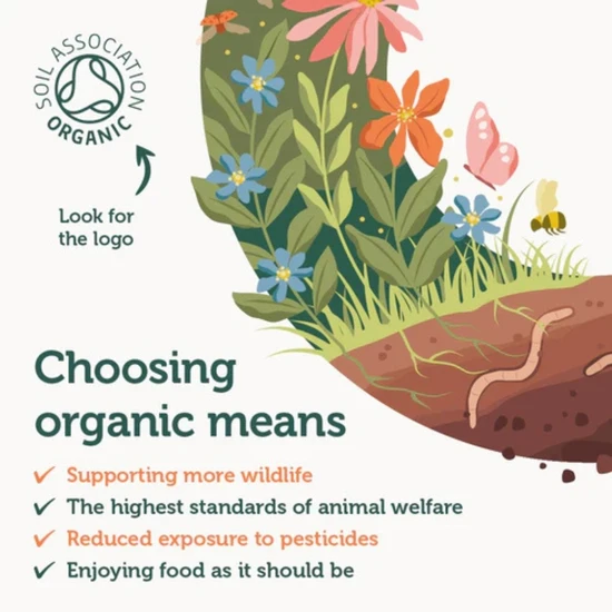 SC Nutra Wild Oregano Oil C80 25ml