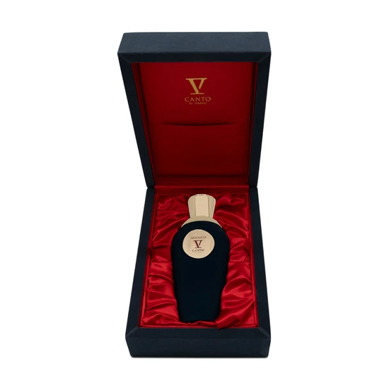 V Canto Arsenico Extrait De Parfum 100ml