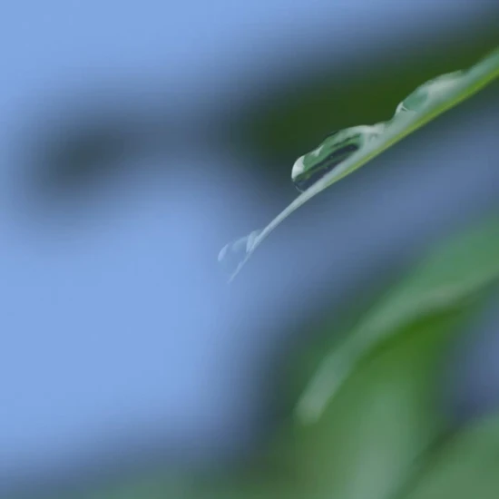 Dermalogica Phyto Nature Oxygen Cream 50ml