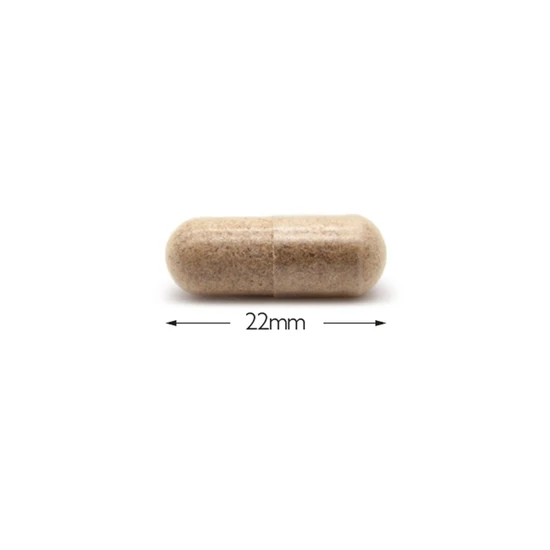 Cytoplan Psyllium Husk 700mg Capsules 120 Capsules