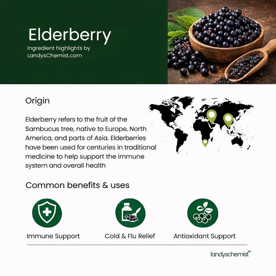 Swanson Elderberry With Zinc & Vitamin C Berry Gummies 60 Gummies