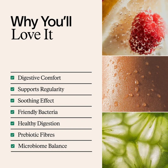 ARTAH G.I. Fix Capsules 120 Capsules