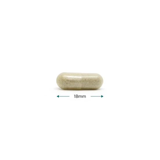 Cytoplan Methylfolate Capsules 400ug - 60 Capsules