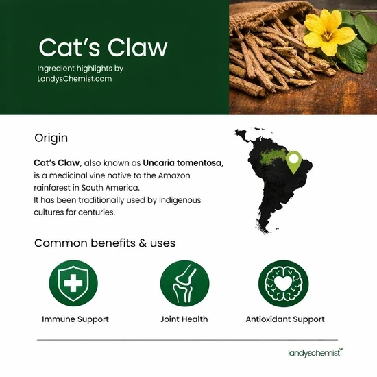 Swanson Cat's Claw 500mg Capsules 100 Capsules