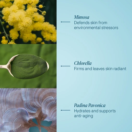 ELEMIS Pro-Collagen Marine Cream 50ml