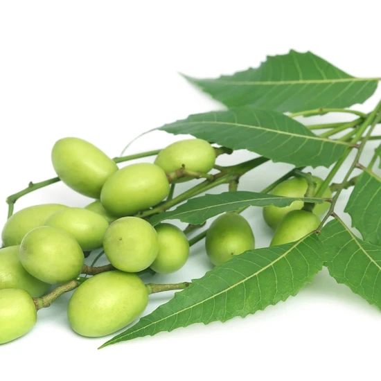 L'Anza Healing Strength Silk Serum 100ml