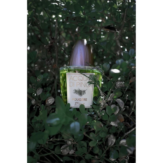Pino Silvestre Acqua Di Pino Fougere Eau De Toilette 125ml