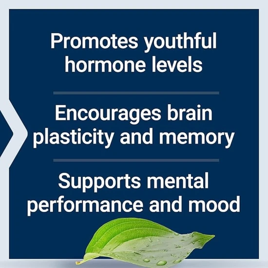 Life Extension Pregnenolone 100mg 100 Capsules
