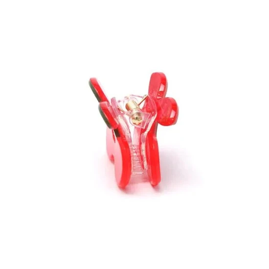 Molly And Rose Card Of 2 Fruit Shaped Mini Clamps
