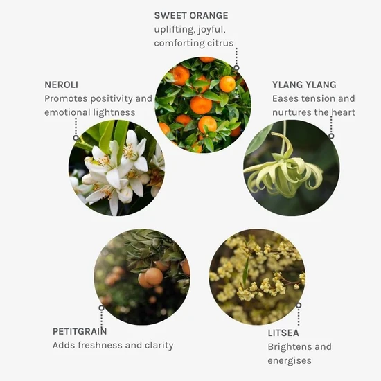 Evolve Beauty Joyful Light Aromatic Hand & Body Wash 250ml