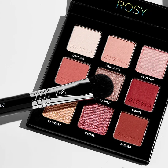 Sigma Beauty E50 Large Fluff Brush