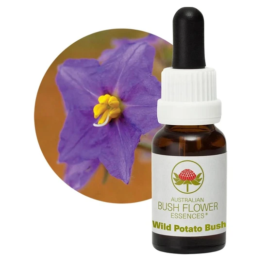 Australian Bush Flower Essences Wild Potato Bush Australian Bush Flower Essences 15ml