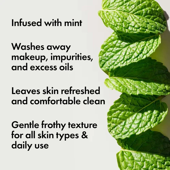 Origins Checks & Balances Frothy Face Wash 150ml
